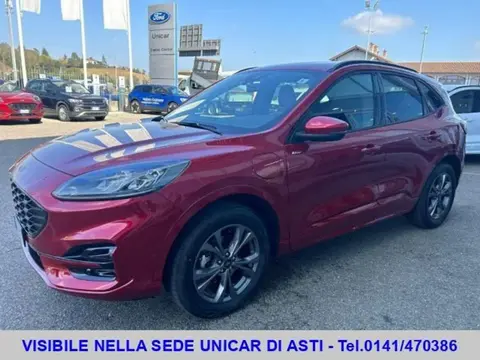 Used FORD KUGA Hybrid 2021 Ad 