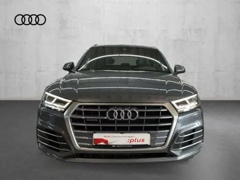 Used AUDI Q5 Hybrid 2021 Ad 