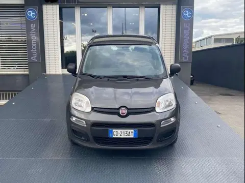 Annonce FIAT PANDA Hybride 2020 d'occasion 