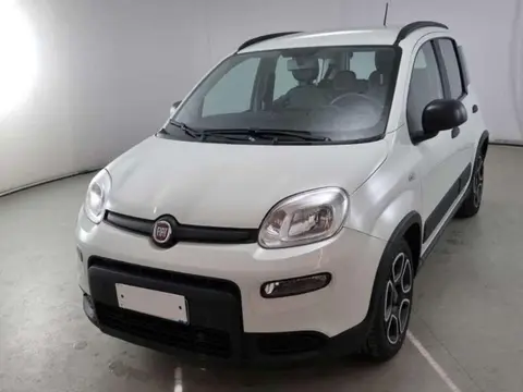 Annonce FIAT PANDA Hybride 2021 d'occasion 