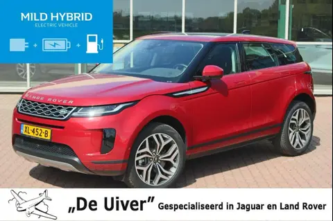 Annonce LAND ROVER RANGE ROVER EVOQUE Diesel 2019 d'occasion 