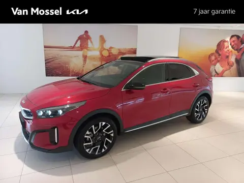 Annonce KIA XCEED Essence 2024 d'occasion 