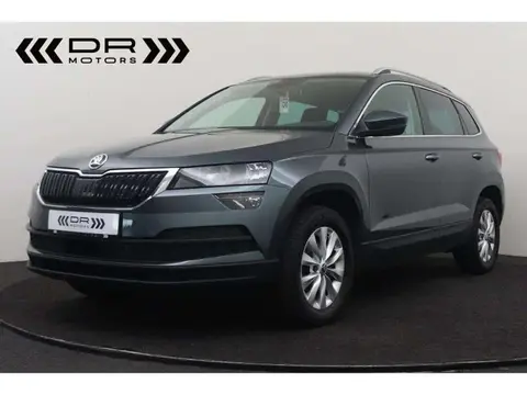 Used SKODA KAROQ Diesel 2019 Ad 