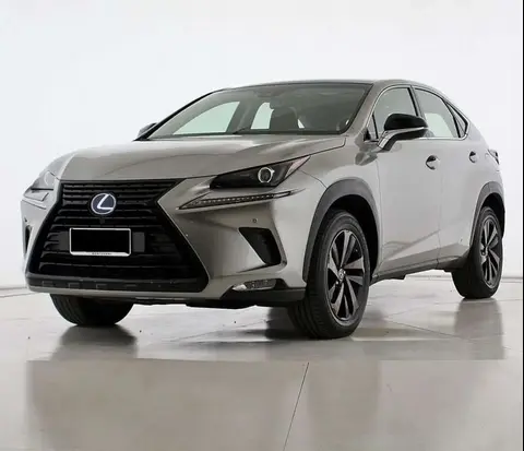 Annonce LEXUS NX Hybride 2019 d'occasion 