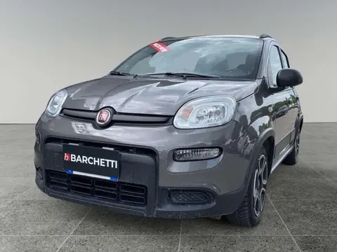 Used FIAT PANDA Hybrid 2021 Ad 