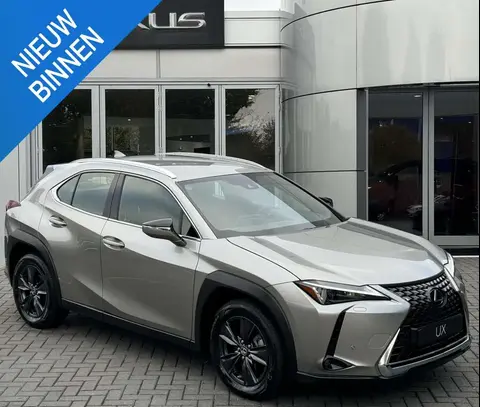 Used LEXUS UX Hybrid 2023 Ad 