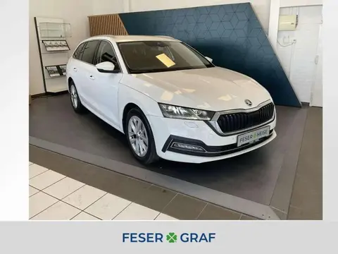 Used SKODA OCTAVIA Petrol 2020 Ad 