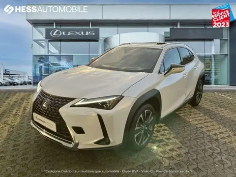 Used LEXUS UX  2021 Ad 