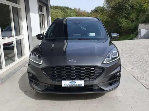 Used FORD KUGA Hybrid 2023 Ad 