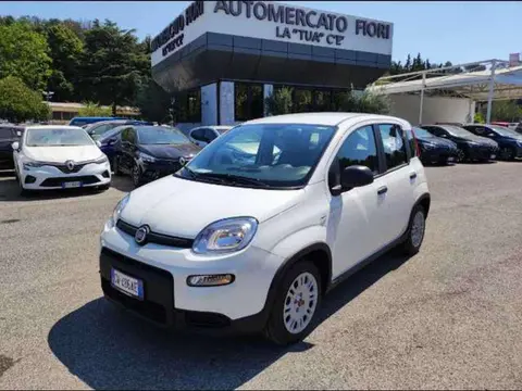 Annonce FIAT PANDA Hybride 2024 d'occasion 