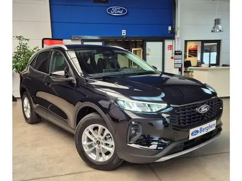 Annonce FORD KUGA Hybride 2024 d'occasion 