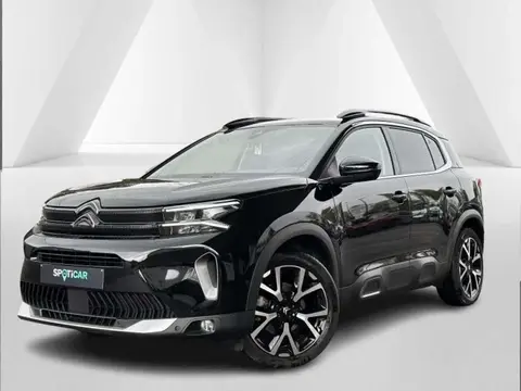 Annonce CITROEN C5 AIRCROSS Diesel 2023 d'occasion 