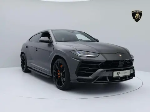 Used LAMBORGHINI URUS Petrol 2021 Ad 