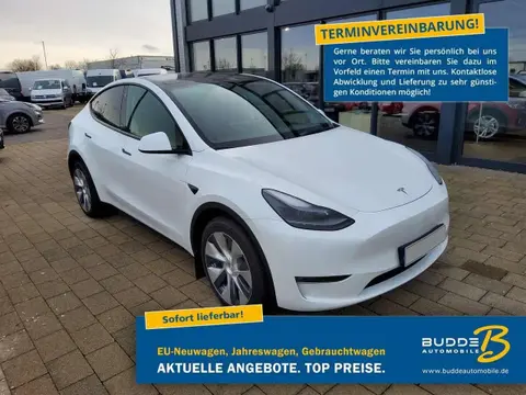 Used TESLA MODEL Y Electric 2023 Ad 