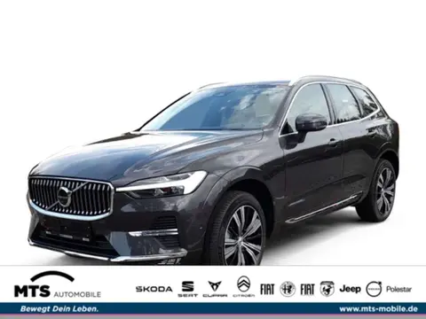 Annonce VOLVO XC60 Diesel 2024 d'occasion 