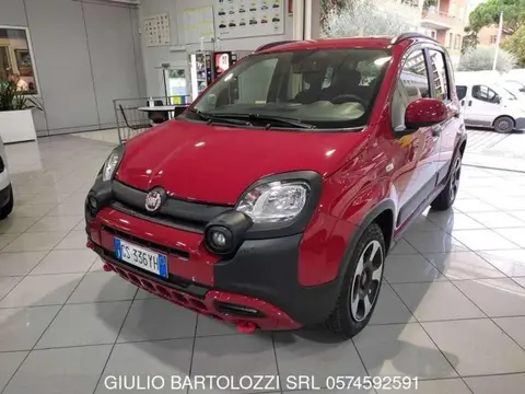 Used FIAT PANDA Hybrid 2024 Ad 