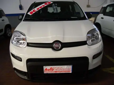 Annonce FIAT PANDA Hybride 2023 d'occasion 