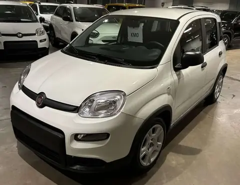 Annonce FIAT PANDA Hybride 2024 d'occasion 