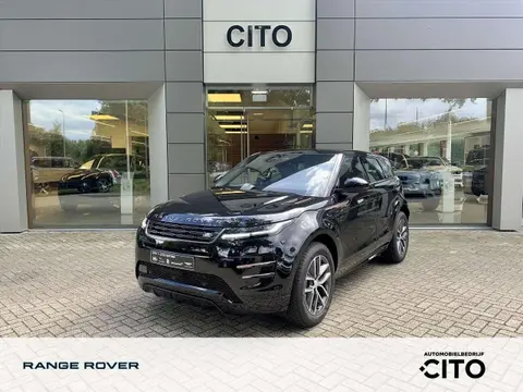 Used LAND ROVER RANGE ROVER EVOQUE Hybrid 2024 Ad 