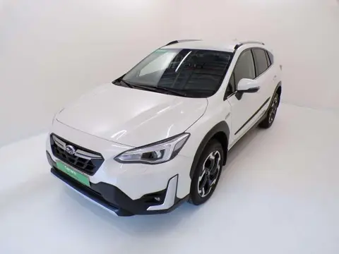 Used SUBARU XV Hybrid 2023 Ad 