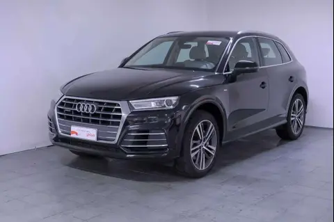 Used AUDI Q5 Diesel 2019 Ad 