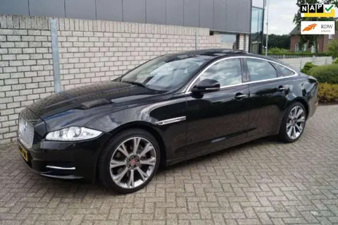 Annonce JAGUAR XJ Essence 2015 d'occasion 