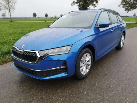 Annonce SKODA OCTAVIA Diesel 2024 d'occasion 