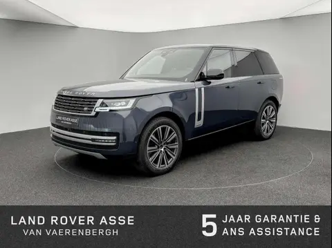 Used LAND ROVER RANGE ROVER Hybrid 2024 Ad 