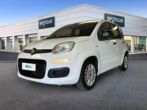 Annonce FIAT PANDA Essence 2021 d'occasion 