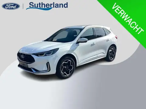 Used FORD KUGA Hybrid 2024 Ad 