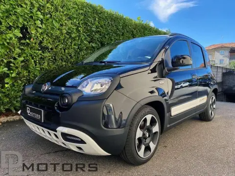 Used FIAT PANDA Hybrid 2024 Ad 