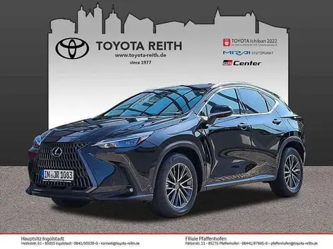 Used LEXUS NX Hybrid 2024 Ad 