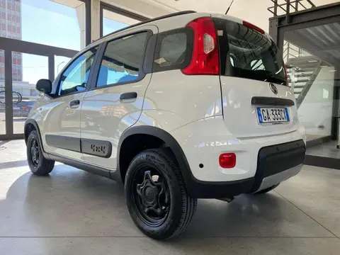 Annonce FIAT PANDA Essence 2019 d'occasion 