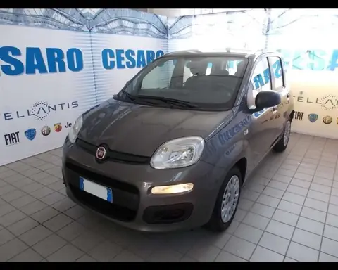 Annonce FIAT PANDA Hybride 2022 d'occasion 