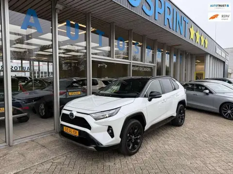 Used TOYOTA RAV4 Hybrid 2024 Ad 