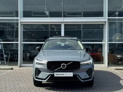 Annonce VOLVO XC60 Hybride 2024 d'occasion 