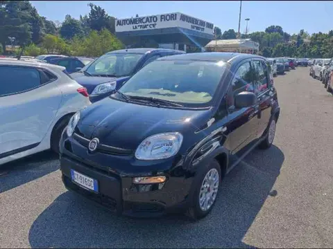 Used FIAT PANDA Hybrid 2024 Ad 