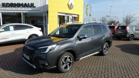 Annonce SUBARU FORESTER Essence 2024 d'occasion 