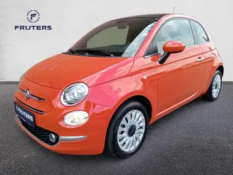 Annonce FIAT 500 Hybride 2024 d'occasion Belgique