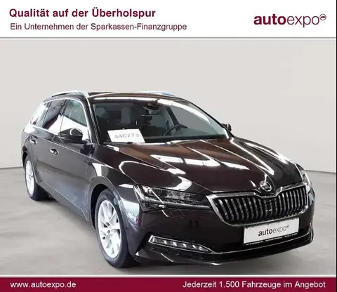 Used SKODA SUPERB Diesel 2020 Ad 