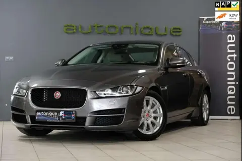 Used JAGUAR XE Petrol 2015 Ad 