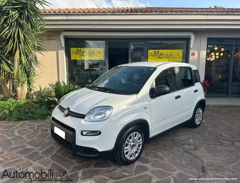 Annonce FIAT PANDA Hybride 2023 d'occasion 