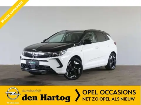 Used OPEL GRANDLAND Hybrid 2022 Ad 