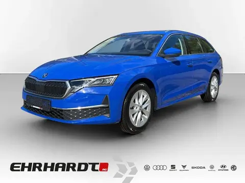 Annonce SKODA OCTAVIA Diesel 2024 d'occasion 