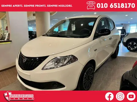 Used LANCIA YPSILON Hybrid 2024 Ad 