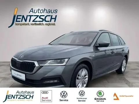 Used SKODA OCTAVIA Diesel 2022 Ad 