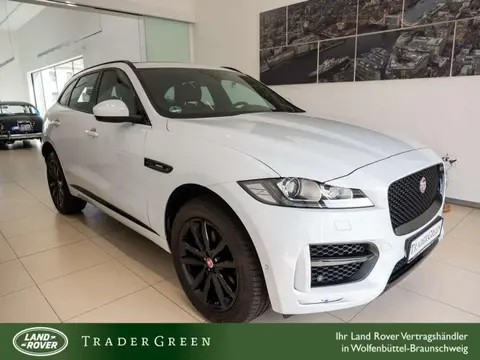 Used JAGUAR F-PACE Diesel 2020 Ad 