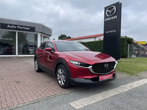 Annonce MAZDA CX-30 Essence 2020 d'occasion 