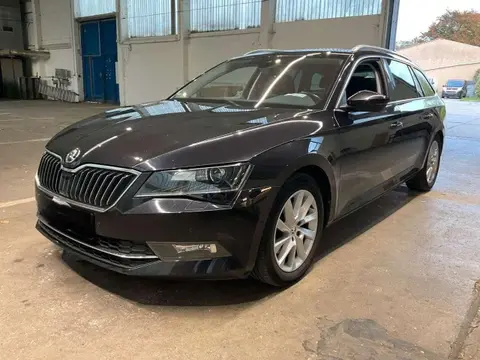 Annonce SKODA SUPERB Diesel 2016 d'occasion 