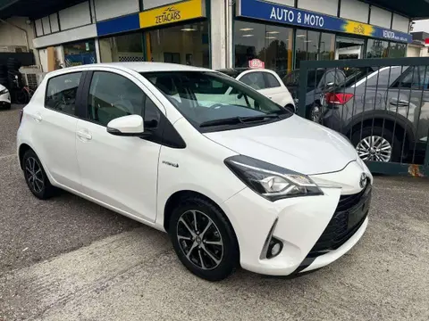 Used TOYOTA YARIS Hybrid 2019 Ad 